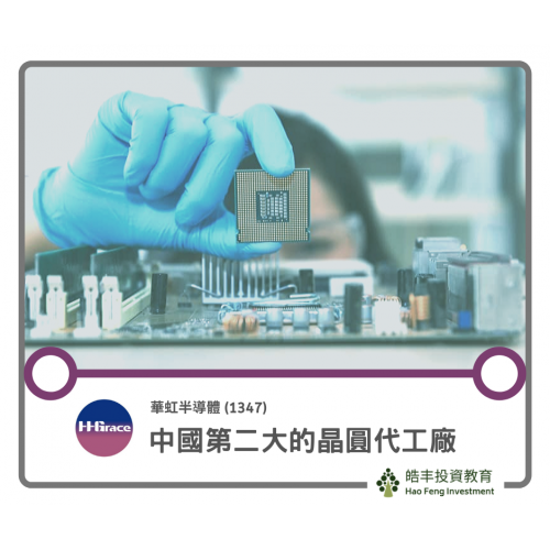 【華虹半導體 (1347) — 獨特的市場定位】